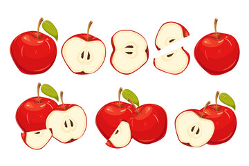 A set of red apples.Whole apples, sliced, halved, quartered.Ripe, juicy fruits.Vector illustration.