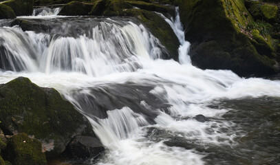 Fototapeta na wymiar Golitha Falls Bodmin Moor Cornwall
