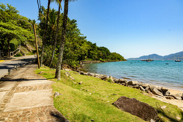 Side view of the deserted beachfront in Ilhabela surrounded by palm trees