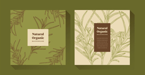 Natural Organic Green Plant Illustration