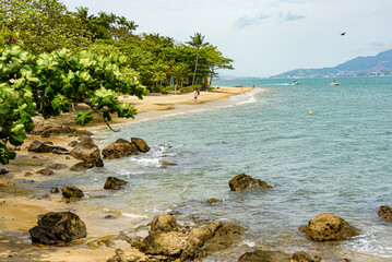 Horizontal image with a view of a small paradise beach, with a narrow area of sand surrounded by tropical forest and palm trees. Ilhabela's blue sea seen from the top of the hiking trail. São Paulo