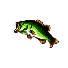 Black Bass Fish Vector illustration