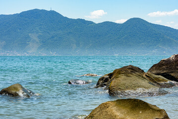 View of calm blue sea surrounded by mountains on the mainland, seen from the rocks on the beach in Ilhabela, Sao Paulo