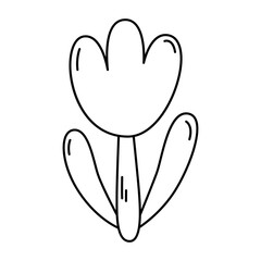 Tulip linear icon.