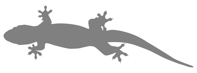Obraz na płótnie Canvas House Lizard also called House Gecko or Gekkonidae Silhouette for Art Illustration, Logo, Pictogram or Graphic Design Element. Format PNG