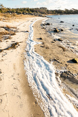 Costal winter panorama, glistering sunlight reflected in the ice and ocean, frozen beach, clear blue sky and green grass  on a beautiful clear winter day on the west-coast of Sweden