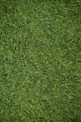 Top view of artificial green grass texture. Fake Grass used on sports fields for soccer, baseball,...