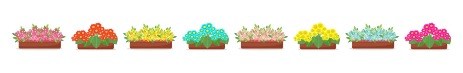 Set Blooming flowers in pots in flat style, big collection of spring flowers in boxes, isolated vector design elements