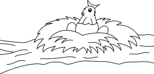 Illustration of a cuckoo bird in nest. Cute coloring page for kids. Cartoon illustration for children isolated on white background.