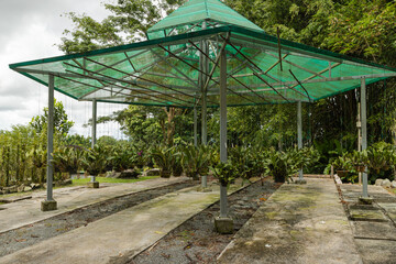 orchid and bromeliad flower beds in botanical garden, selective focus, copy space, malaysia