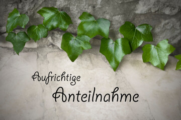 Green ivy on grey stone with german text Aufrichtige Anteilnahme, meaning: with deepest sympathy....