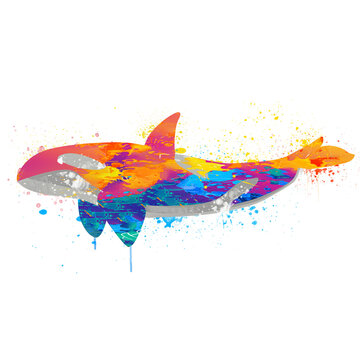 recommend clip art: Beautiful watercolor Whale drawing, Whale illustration, Colorful Whale, Abstract whale