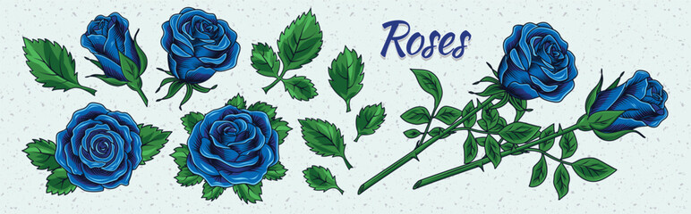 Clip art with lush blooming blue roses and leaves. Single flowers and flowers with stem. Blue colors adapted for printing in CMYK palette. Engraving vintage style. Isolated vector illustration - obrazy, fototapety, plakaty