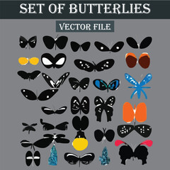 Set of beautiful and colorful butterflies