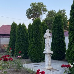 Fototapeta premium statue in the garden