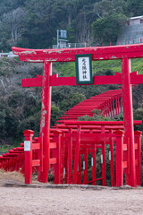 日本　山口県長門市にある元乃隅神社の正面の鳥居と鳥居のトンネル
