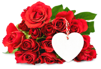 Red roses and white mock up heart. Isolated flowers. Greeting card 