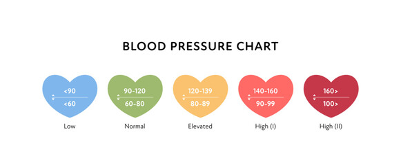 Blood pressure infographic. Vector flat illustration. Hypertension chart isolated on white background set. Heart shape with low, normal, high pressure diagram. Design for healthcare, cardiology.