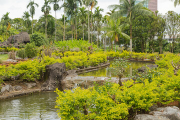 Fototapeta na wymiar Palm collection in сity park in Kuching, Malaysia, tropical garden with large trees, pond with small waterfall.