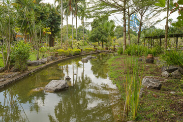 Palm collection in сity park in Kuching, Malaysia, tropical garden with large trees, pond with small waterfall.
