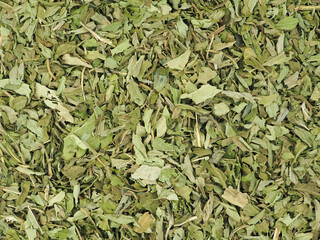 Dried stevia leaves as background