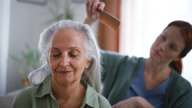 Nurse combing her senior client at home.