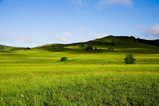 Bashang grassland in Inner Mongolia