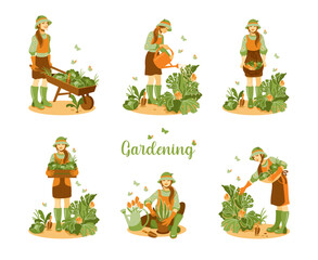 Gardening and harvesting. Season spring - summer. Set of illustrations. Vector.
