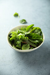 Healthy mixed leaf salad