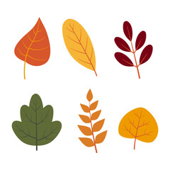 hand drawn autumn leaves illustration design