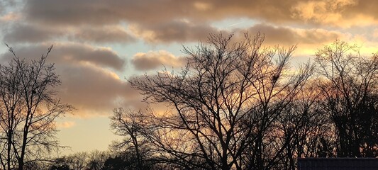 Abendhimmel mit Buchen