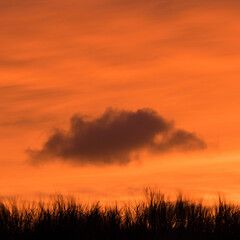 Abendrot über Dünenkemm