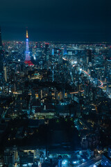 日本　東京都港区の六本木ヒルズの展望台から眺める東京の夜景とライトアップされた東京タワー