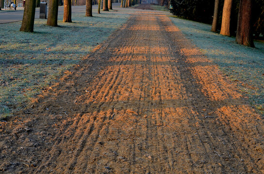 the sandy path in the park runs parallel to the asphalt cycle path. the horses trot along the soft surface of the sandy path in the lawn. racetrack dug into the plain