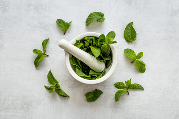 Healing herbs - green mint leaves in mortar for medicine