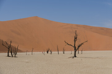 sossusvlei S&uuml;dafrika
