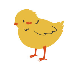 Hand drawn cute cartoon illustration of standing small chick. Flat vector spring Easter design sticker in colored doodle style. Сhicken, bird nestling icon or print. Isolated on background.