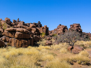 Trees and rocks, Fish River Canyon, Namibia