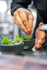 Chef cooking vegetables salad on restaurant kitchen