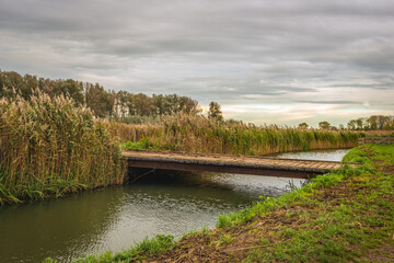 Fototapeta premium Simple bridge of steel beams and wooden planks over the water of a ditch in a small Dutch nature reserve in a polder area. The photo was taken on a cloudy autumn day.