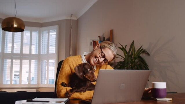 Caucasian female woman working from home holding pet puppy