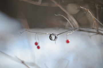 wedding photography. Two wedding rings on a tree branch with blurred background. Love, Wedding, Marriage, Proposal concept