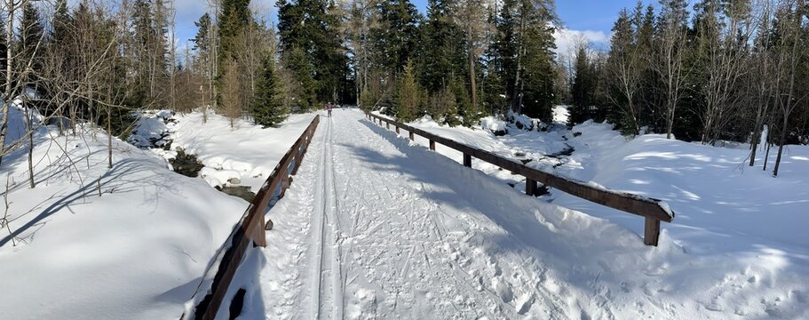 Country skiing track Biela Voda, High Tatras, Slovakia