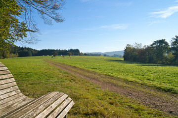Meadow with hiking trail in Rhineland-Palatinate. View over field with trees