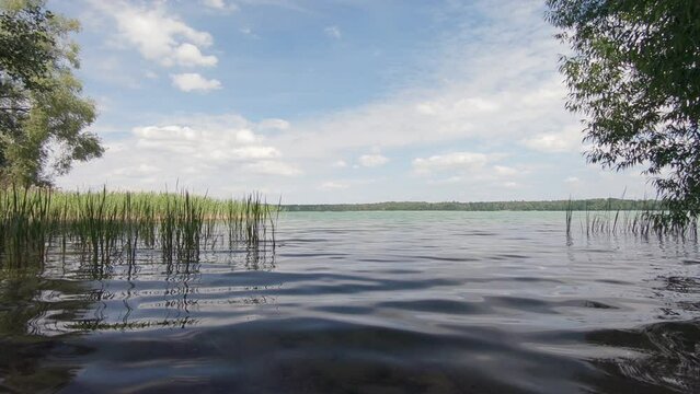 Lake with calm waves and reeds, nature background.