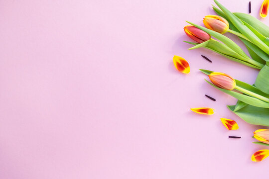 Blumen auf rosa Hintergrund