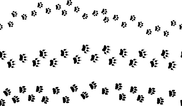 Animal footprints tracks seamless pattern. Cat paws black footprint, various cat, cheetah and tiger track. Decorative kitten elements vector borders