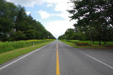 田舎のまっすぐの道