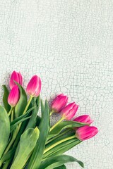Spring backdrop for story. pink tulips on texture  background. Floral square greeting card for Mother Day. Space for text.
