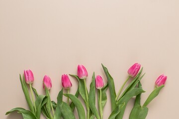 Spring Backdrop with pink tulip flowers on beige background. Minimal march concept. Space for text.